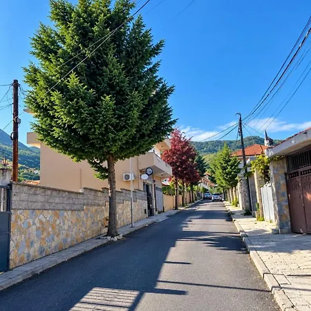 View Triple Pogradec