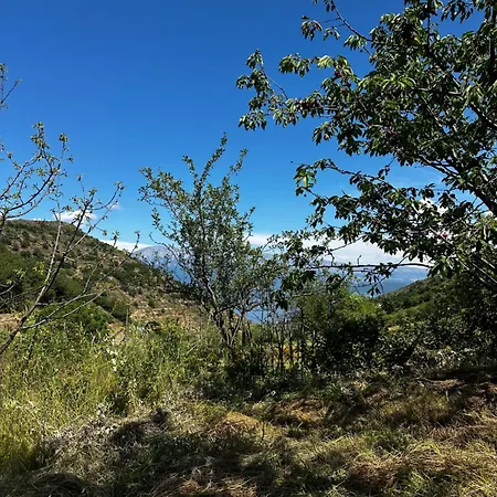 Privatunterkunft View Triple Pogradec