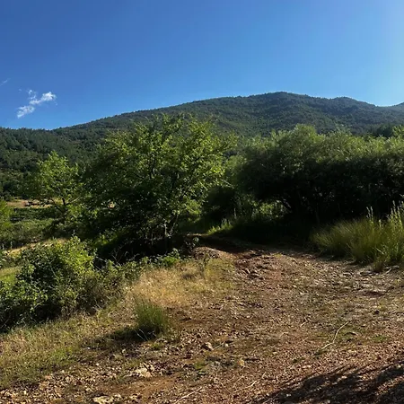 View Triple Privatunterkunft Pogradec
