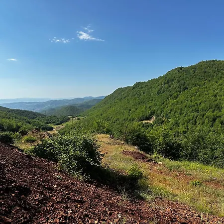 Privatunterkunft View Triple Pogradec